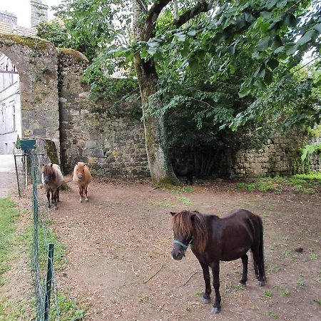 Chateau Moncassin 4* Leyritz-Moncassin