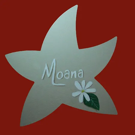 Chateau Moncassin 게스트하우스 4*