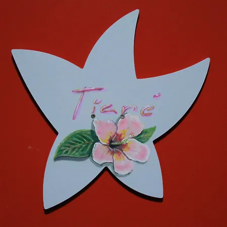 Chateau Moncassin 4* Leyritz-Moncassin