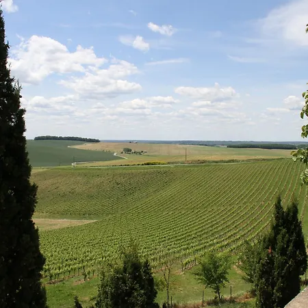 בית הארחה Chateau Moncassin
