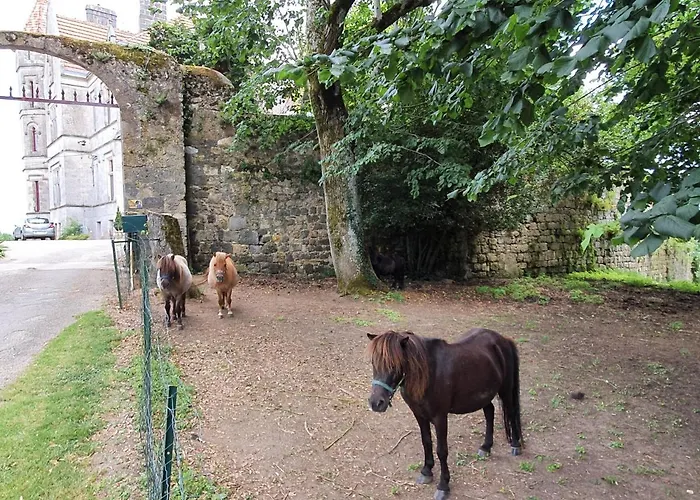 Chateau Moncassin 4* Leyritz-Moncassin