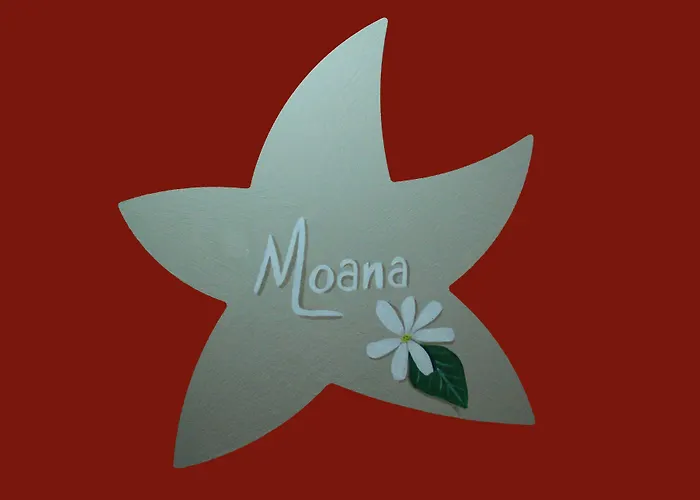 Chateau Moncassin בית הארחה 4*