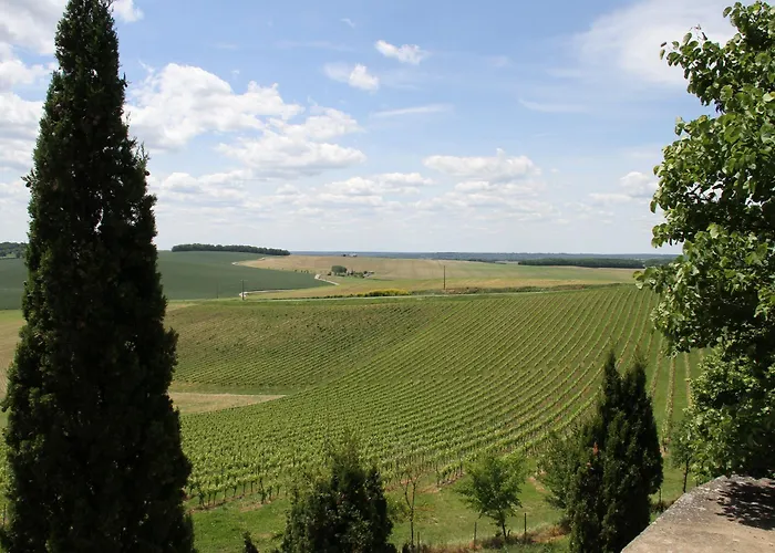 בית הארחה Chateau Moncassin